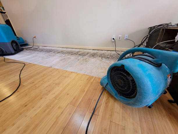 Professional Water Extraction technician working in Bennington, NE